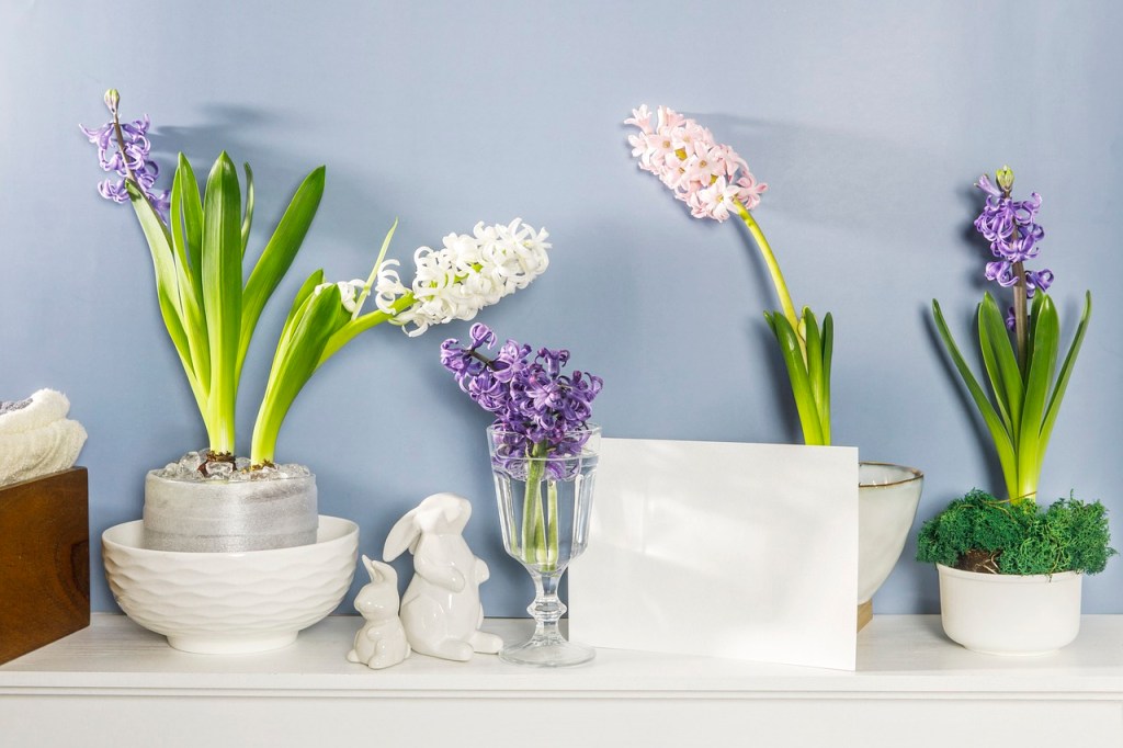 lapin-plantes-pot-jacinthe