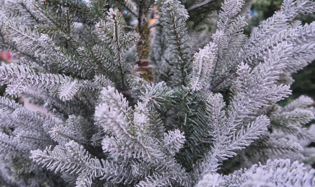 sapin-de-noël-blanc