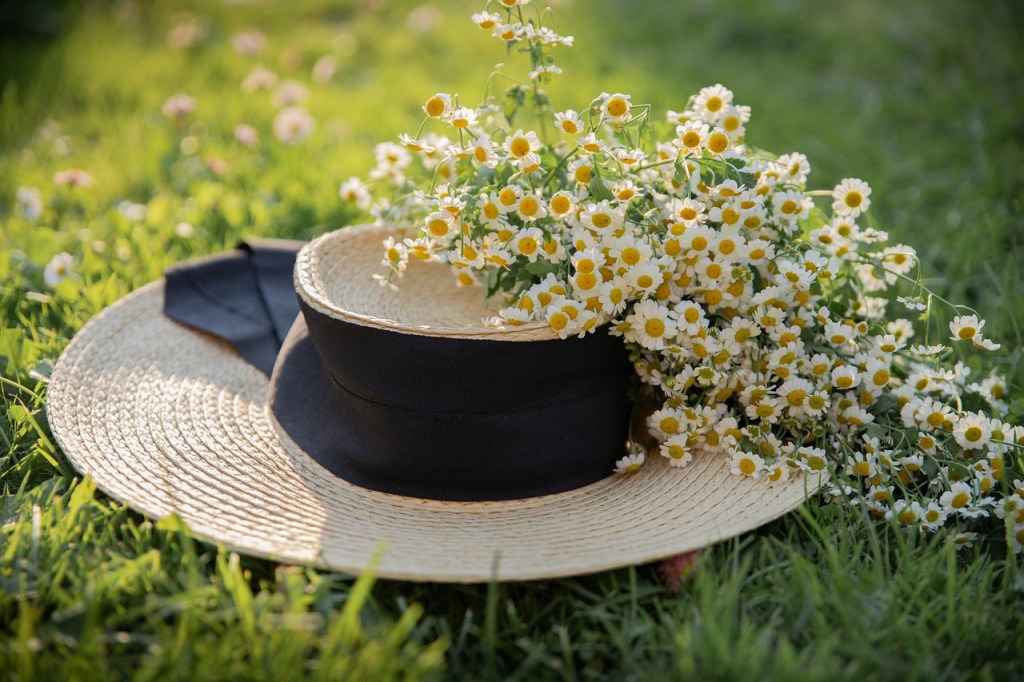 chapeau-camomille-lété-fleurs